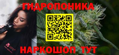 spice Канаш